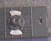 �}�j�T�O�X�C�b�`